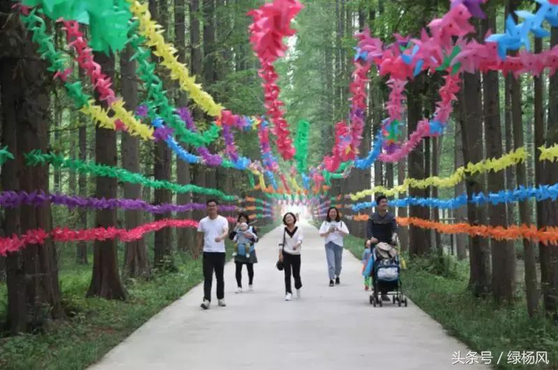 瘦西湖景区门票优惠条件,瘦西湖等国有景区全部免费开放