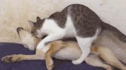 笑一笑睡好觉的搞笑图片,笑出皱纹的搞笑图片