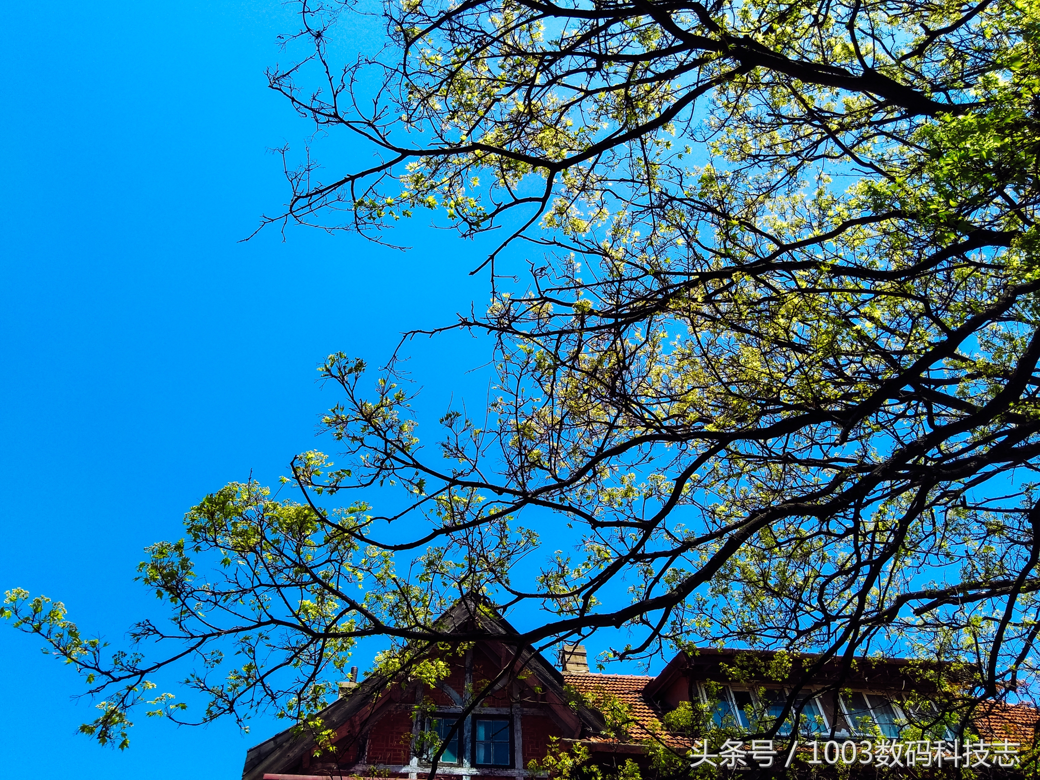 坚果3像素,坚果3普通版有128g的吗
