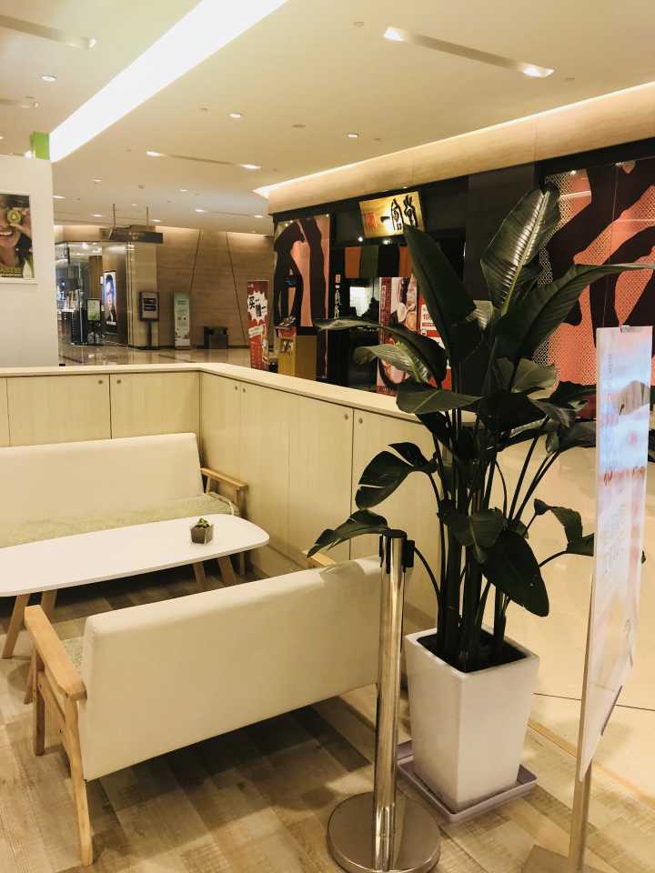 经典北海道双层芝士蛋糕,北海道必尝双层芝士蛋糕