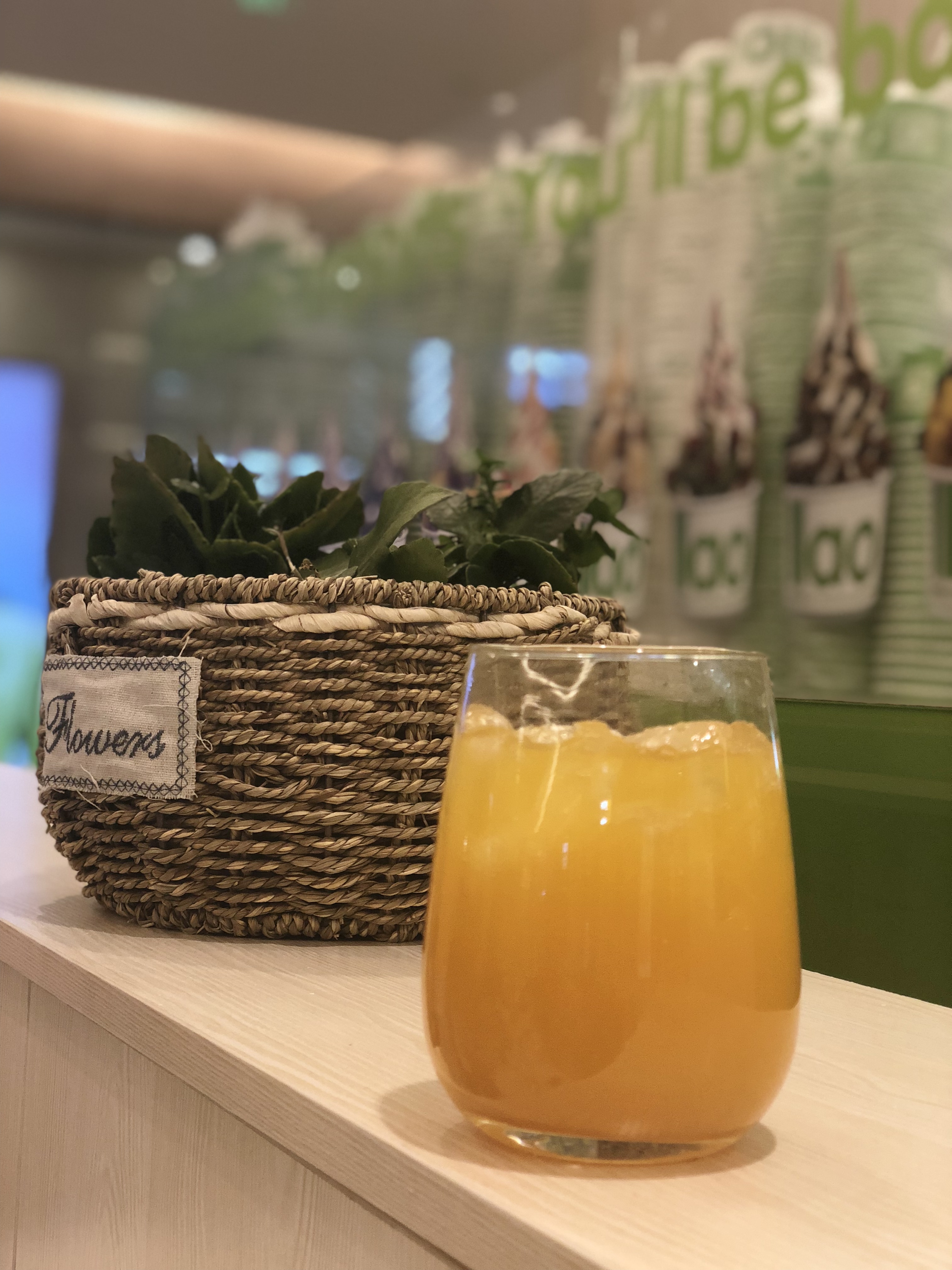 经典北海道双层芝士蛋糕,北海道必尝双层芝士蛋糕