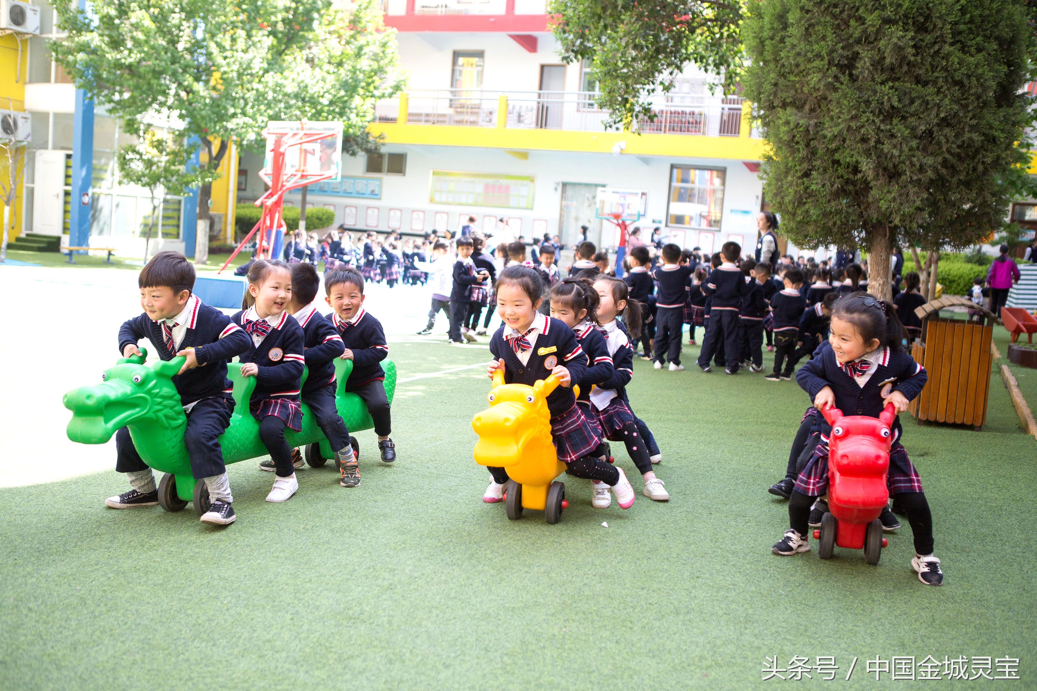 灵宝金蕾幼儿园体能训练,灵宝市金蕾幼儿园简介