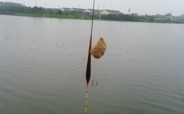 鲢鳙怎么钓最好,鲢鳙怎么钓最好最快