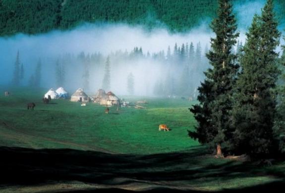 第二部分关煞和太岁及财官印绶「鲁奕宏」