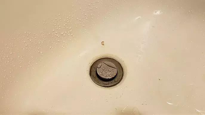 北京新世纪日航饭店属于什么街道,北京新世纪日航饭店