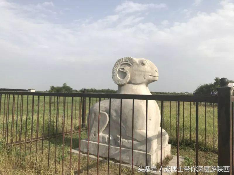 大学生五一适合去的景点,五一适合大学生去的旅游景点
