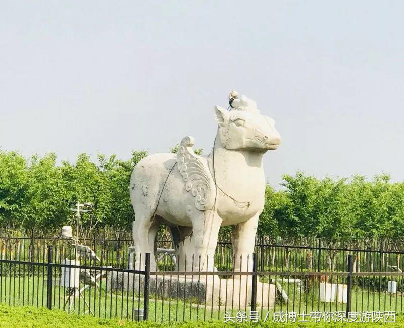 大学生五一适合去的景点,五一适合大学生去的旅游景点