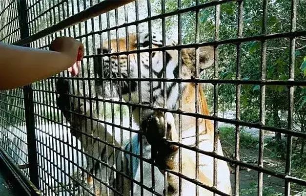 黑龙江游玩必去景点推荐,黑龙江旅游攻略必玩的景点