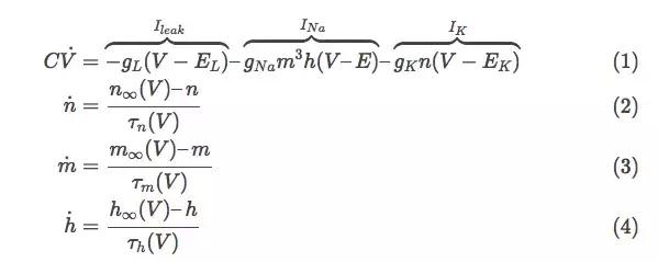 深度神经网络学习,简述人工神经网络的生物学基础