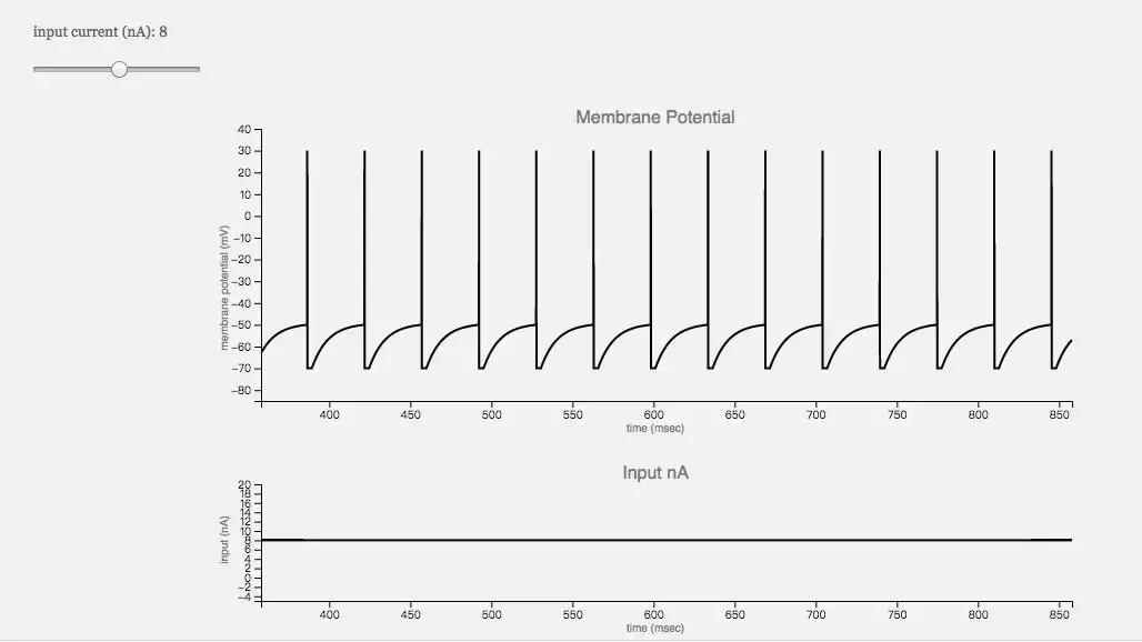 深度神经网络学习,简述人工神经网络的生物学基础