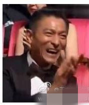 刘德华综合实力怎么样,刘德华影坛成就