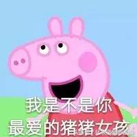 小猪佩奇衣服为什么是红色的,小猪佩奇长袖t恤中长款