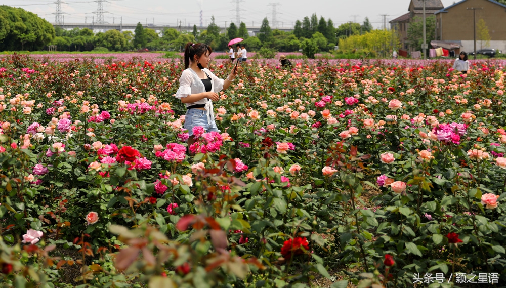 城市奇遇有哪些,城市奇遇任务