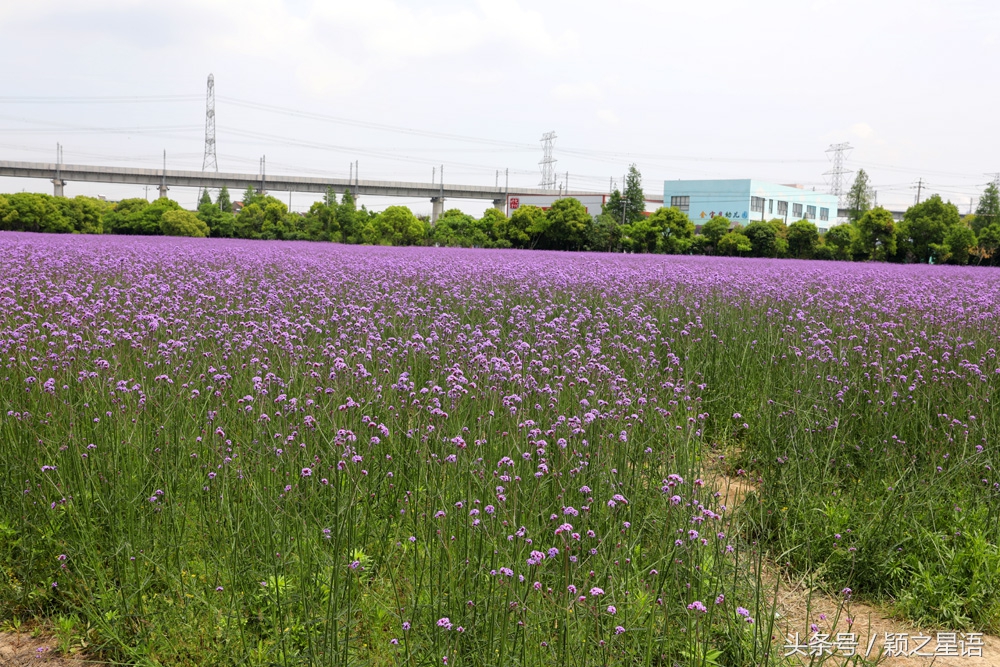 城市奇遇有哪些,城市奇遇任务