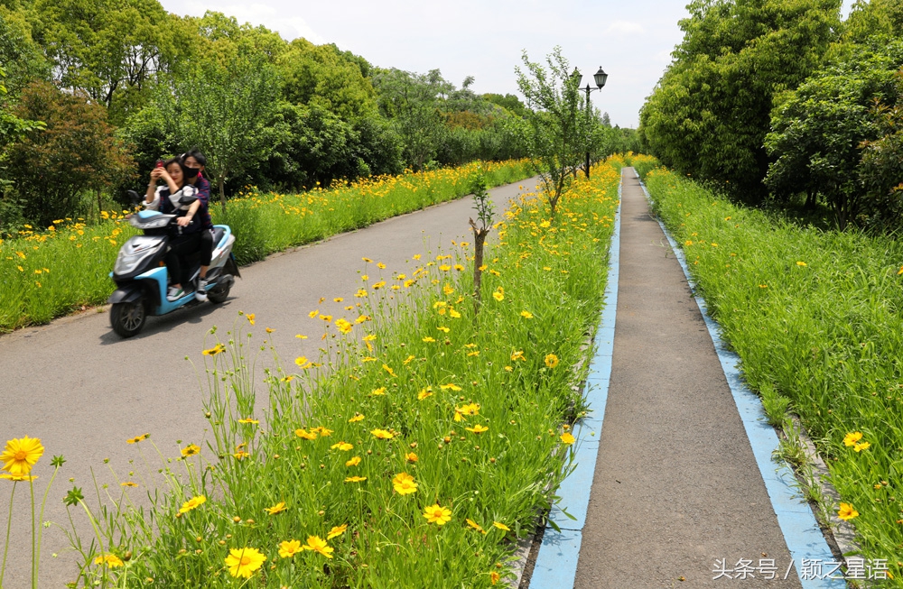 城市奇遇有哪些,城市奇遇任务
