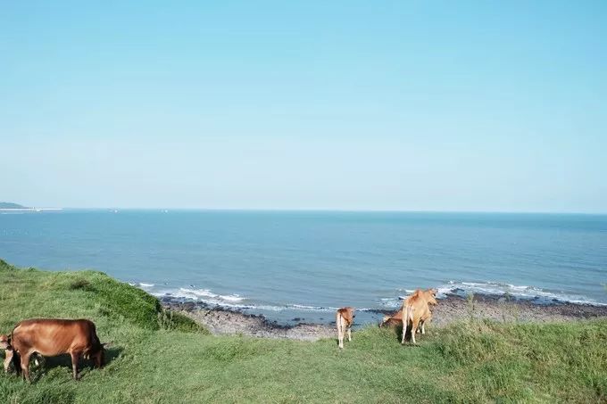 离厦门200公里的城市,离厦门十来分钟的小城