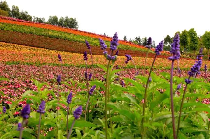 离厦门200公里的城市,离厦门十来分钟的小城