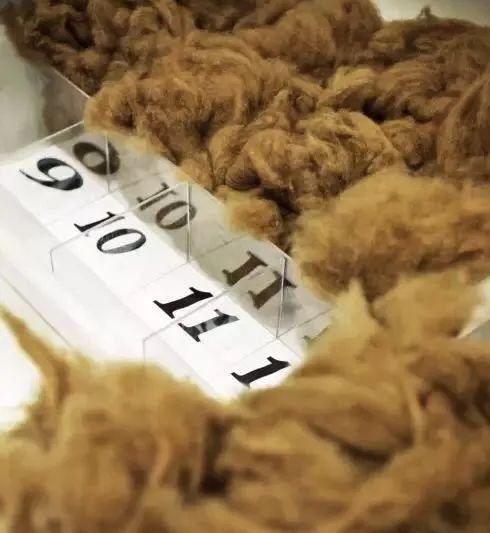 漂亮姐姐被甩锅那么好,漂亮姐姐被骗钱