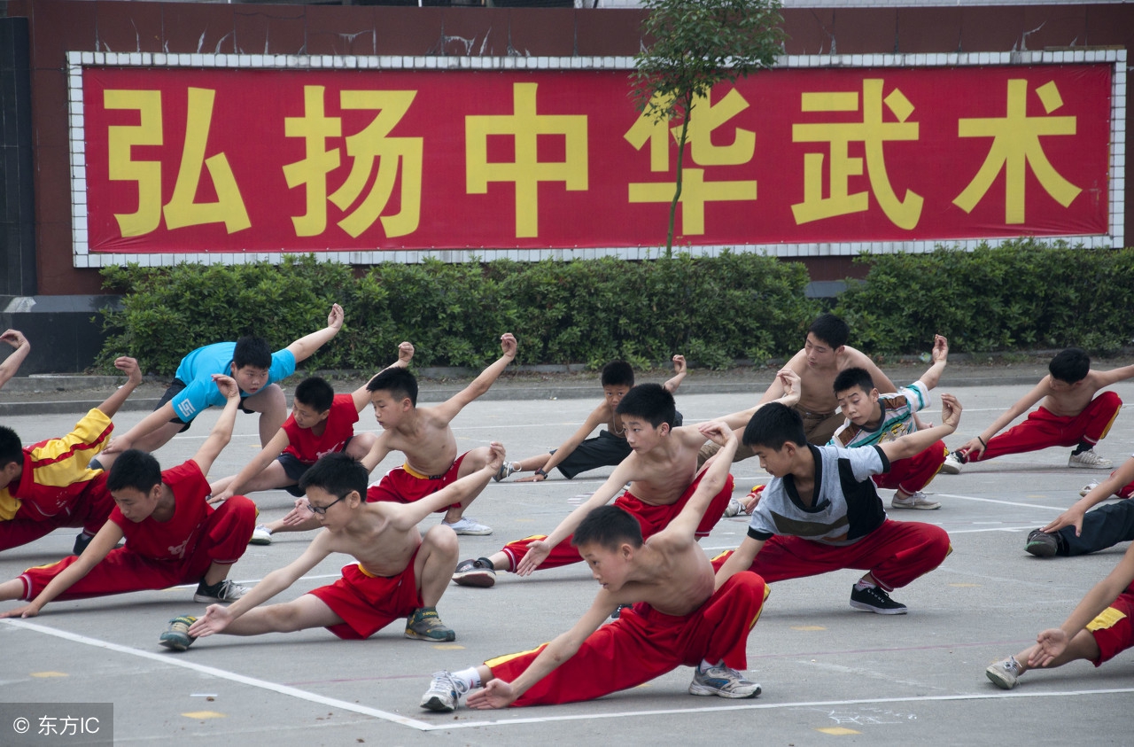 从秘传功法层面来说，螳螂拳是最阴狠的传统武术吗？