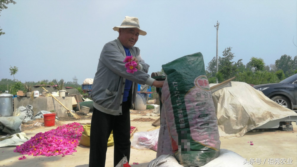 农村有没有赚钱的办法,农村人要怎样才能在家也能赚钱