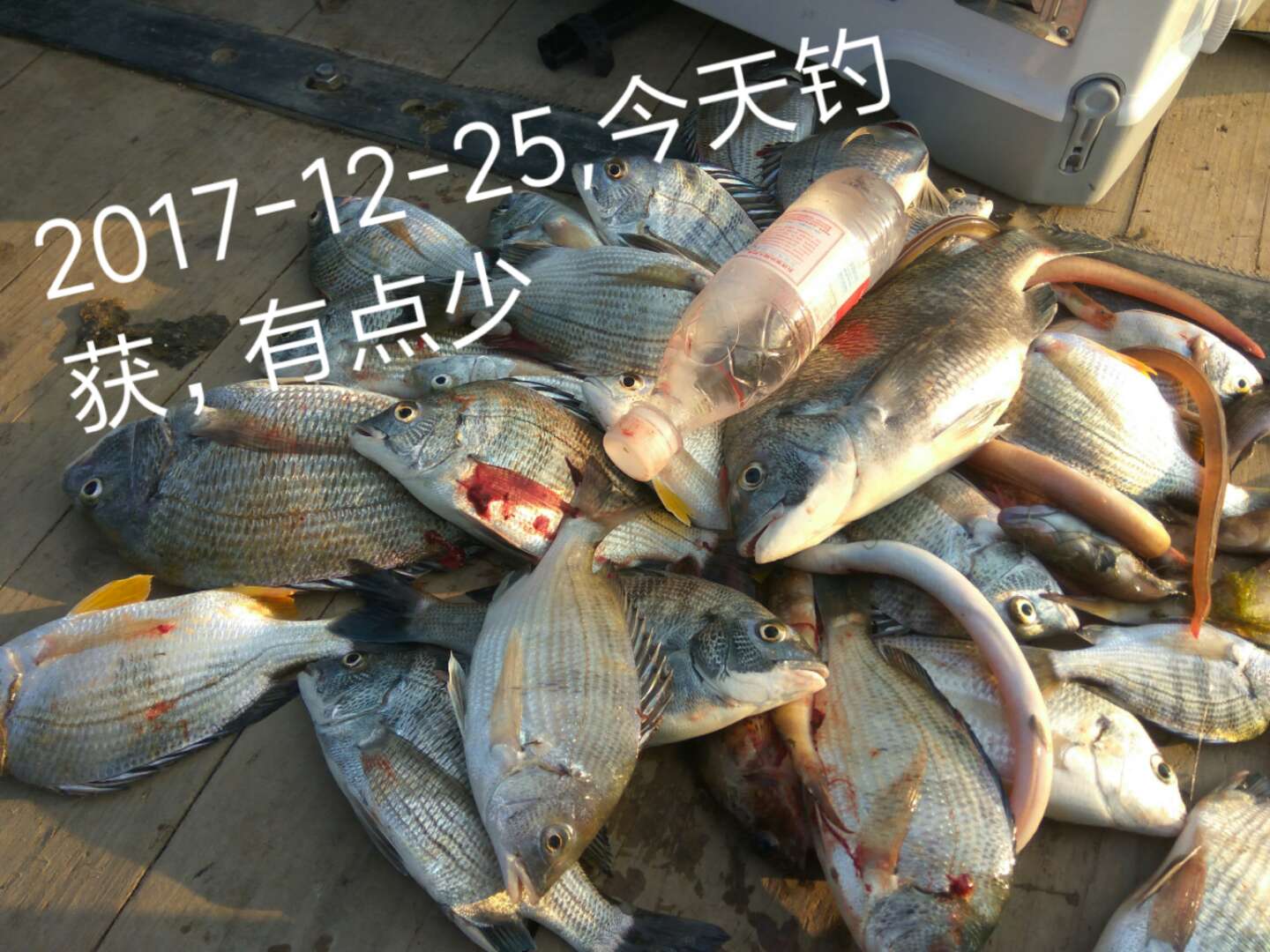 如何从淡水筏钓转向海上筏钓