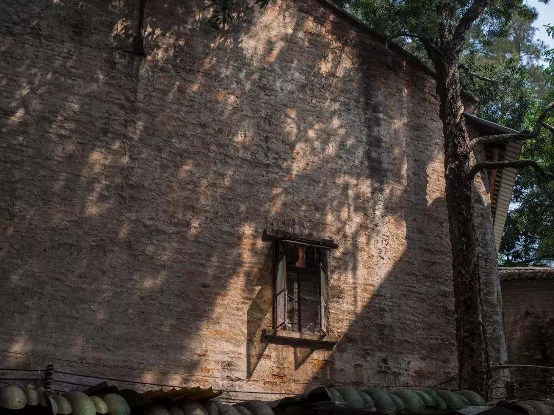 奥林巴斯e-pl9拍摄视频,奥林巴斯e-pl7镜头