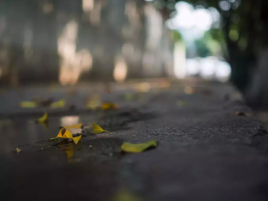 奥林巴斯e-pl9拍摄视频,奥林巴斯e-pl7镜头