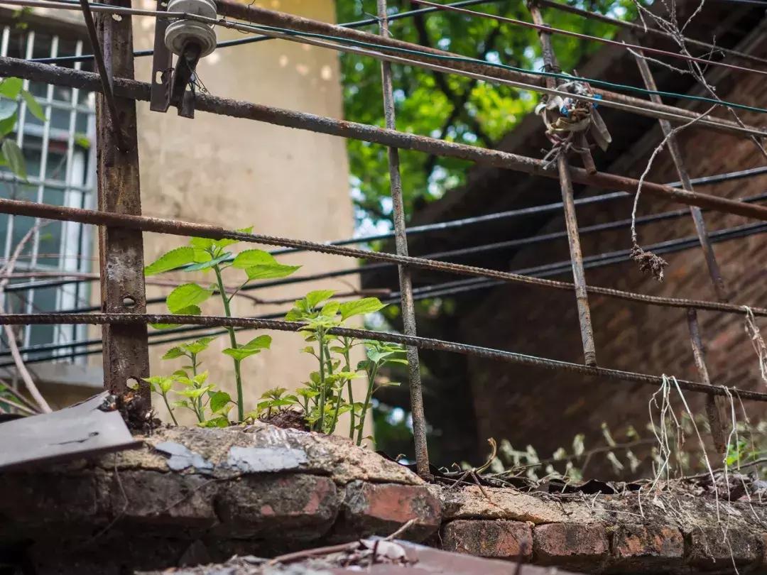 奥林巴斯e-pl9拍摄视频,奥林巴斯e-pl7镜头
