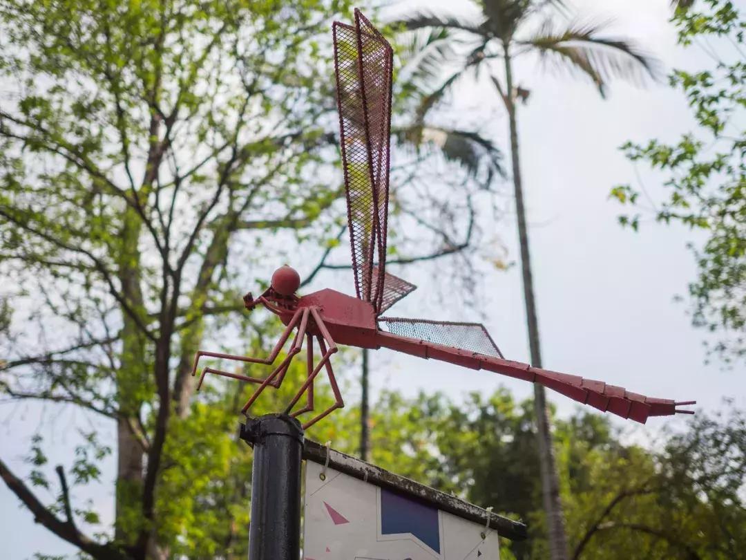 奥林巴斯e-pl9拍摄视频,奥林巴斯e-pl7镜头