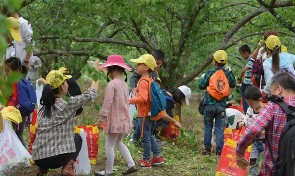 五一假期广东旅游成绩单出炉,五一广东旅游市场升温