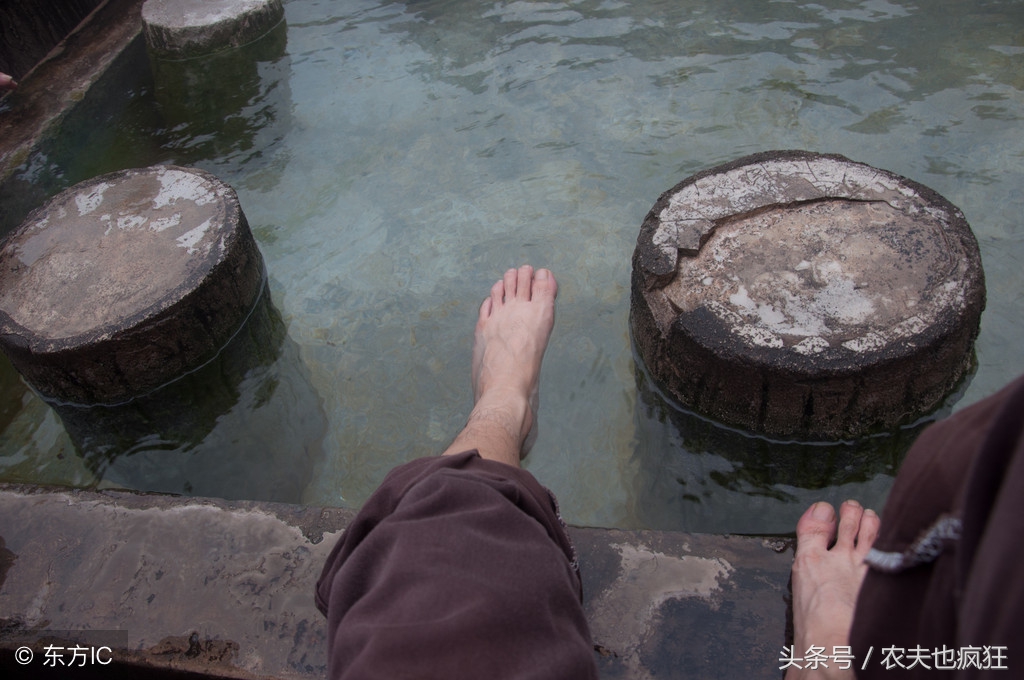 为什么挖个池塘时间久了就有鱼,为什么挖个鱼塘过段时间就有鱼了