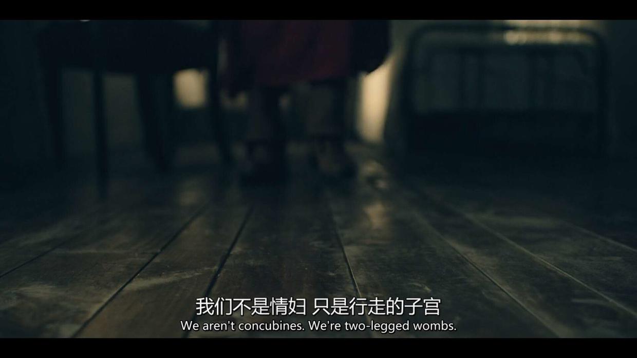 《使女的故事》第二季回归,它很可能会再次横扫艾美奖!