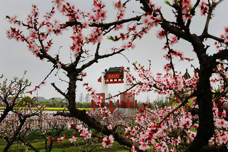 杭州富阳区旅游景点,美丽浙江杭州图片