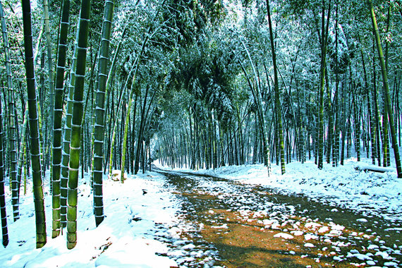 杭州富阳区旅游景点,美丽浙江杭州图片