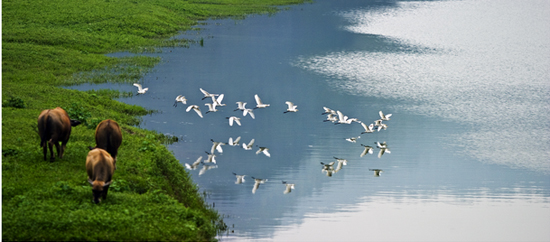 杭州富阳区旅游景点,美丽浙江杭州图片