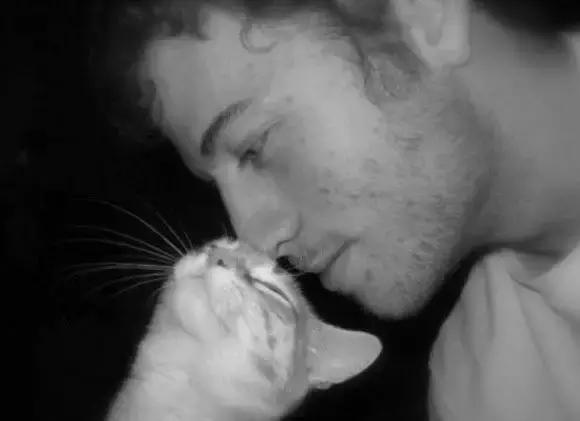 养猫继承遗产,猫咪血统是继承妈妈还是爸爸