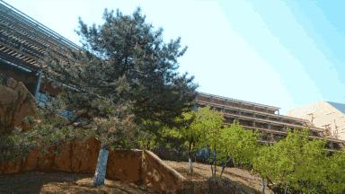 这不是酒店，是一座被改造的大山