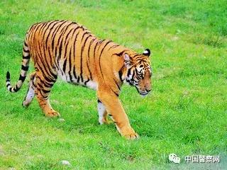 全国公安民警持证可免费游景点,最新全国持警察证免费景区大汇总