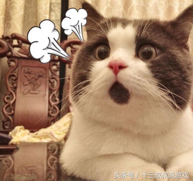 绝地求生最牛的挂,绝地求生辅助现状