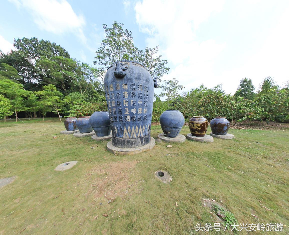 南宁良凤江国家森林公园菩提树,南宁青秀山风景区天然氧吧