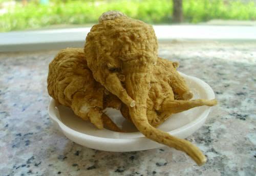 玛咖是什么产品,什么样的玛咖产品最有效