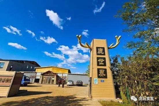 北京有哪些亲子农庄,北京市周边亲子农庄小动物