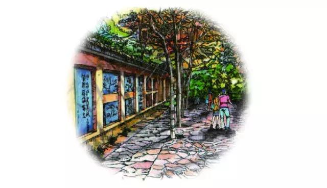 师大国际范｜启夏门里的“洋学生”