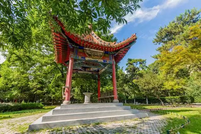 师大国际范｜启夏门里的“洋学生”