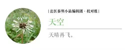 最心善的妖怪结局,最善良的妖怪结局却是最惨的