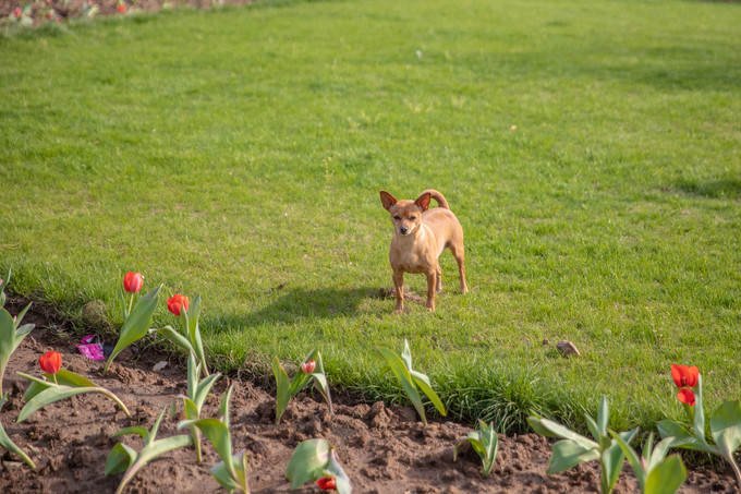 花博园滁州风景,滁州花博园公园美景