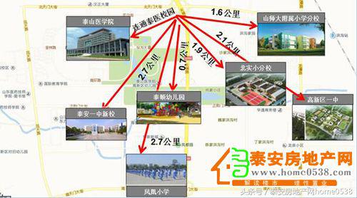 泺亨国际发展潜力大吗,泺亨国际房子怎么样