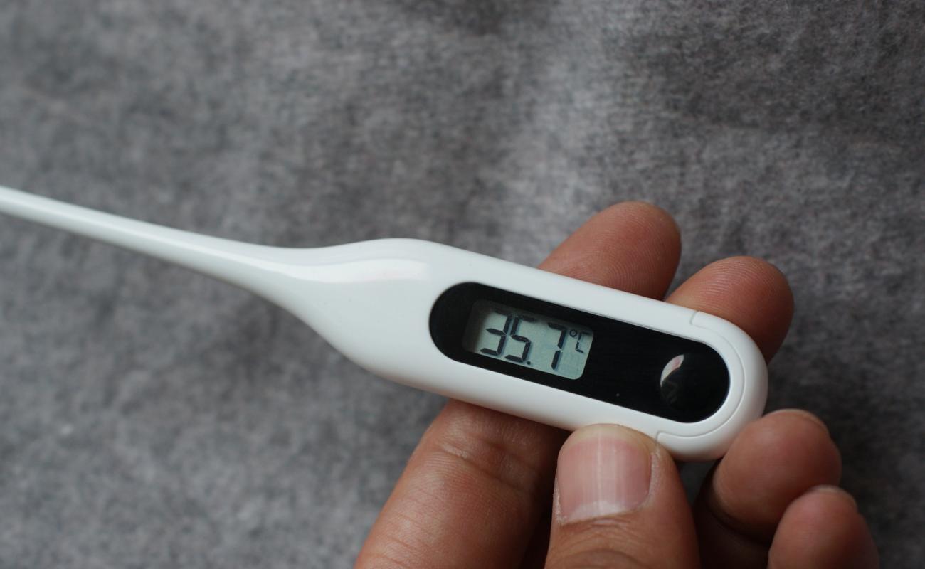 秒秒测智能体温计米家普通认证,米家秒秒测蓝牙电子体温计