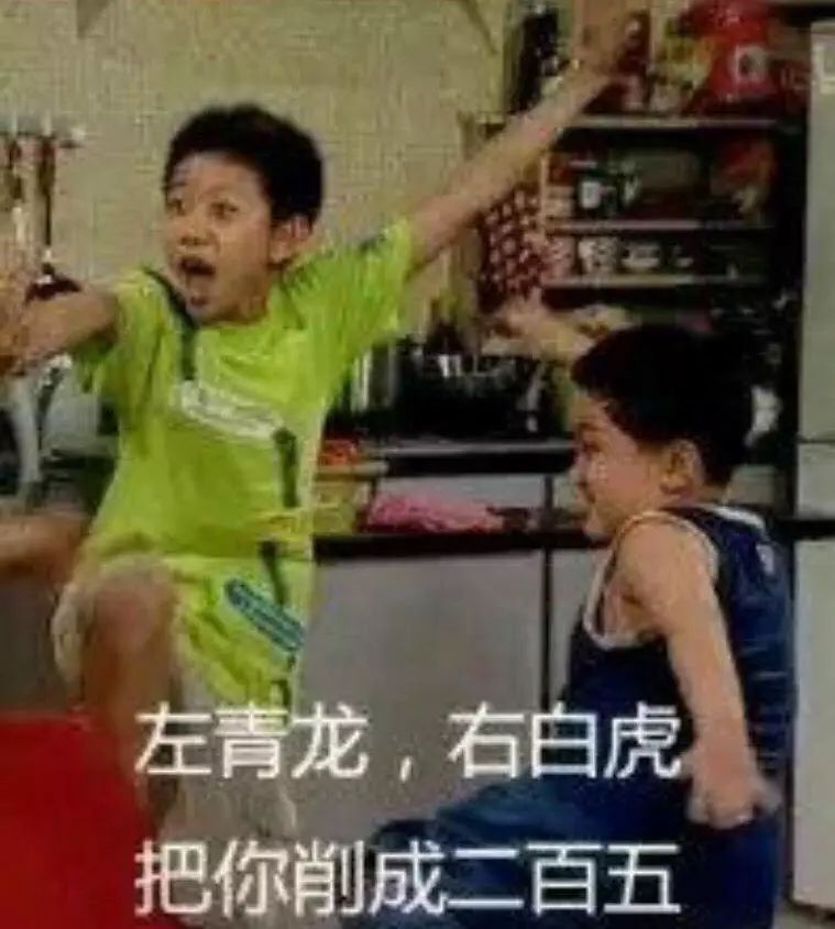 左青龙右白虎有句话怎么说的,左青龙右白虎社会语录