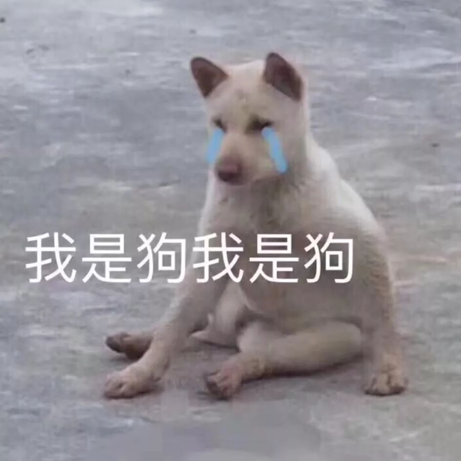 左青龙右白虎有句话怎么说的,左青龙右白虎社会语录